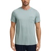 Light Greyish Green