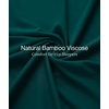 GYS Bamboo Viscose Nightgowns for Women Soft Long Sleeve V-Neck Night Shirt(Green)
